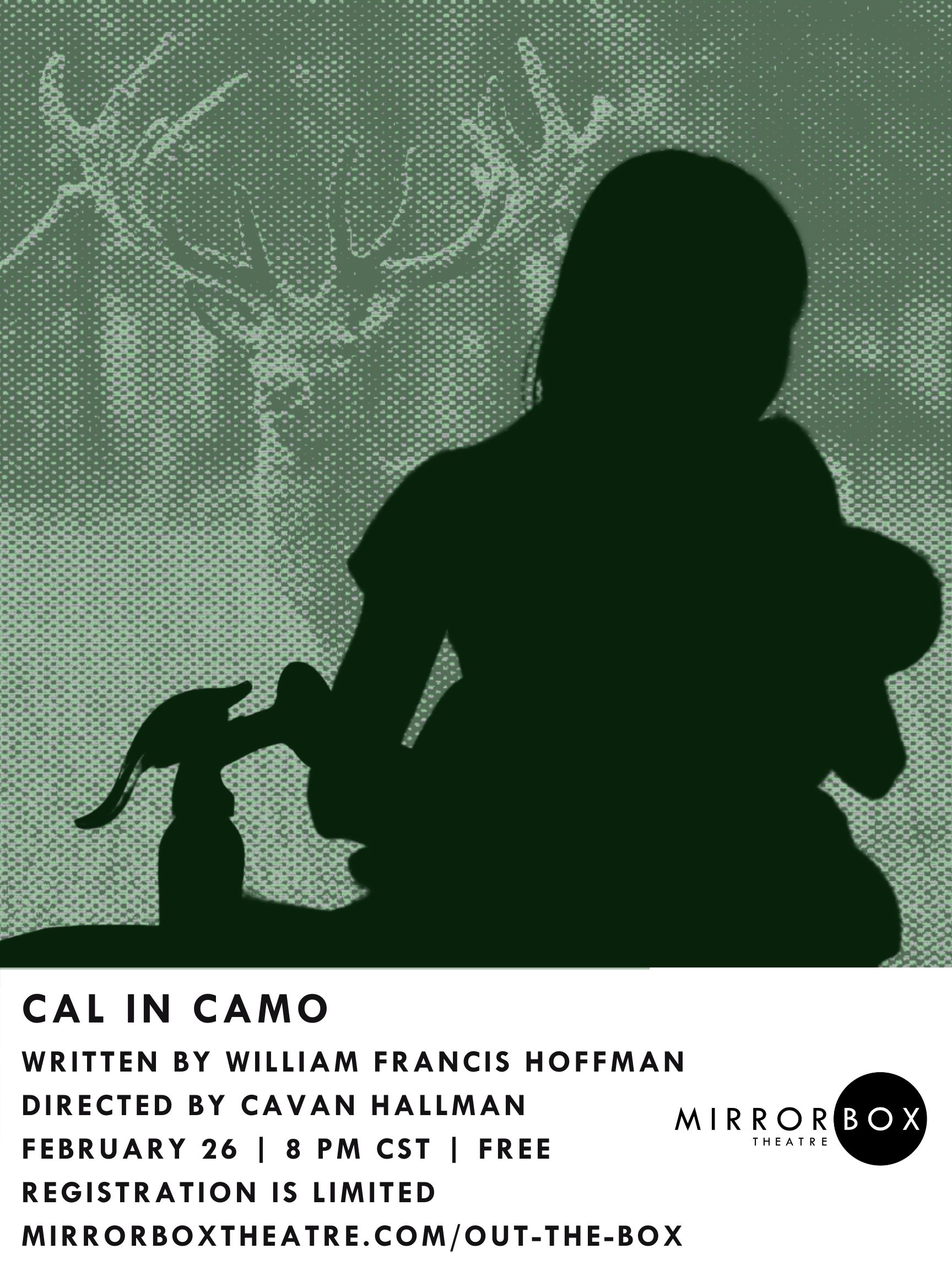 cal_in_camo_poster